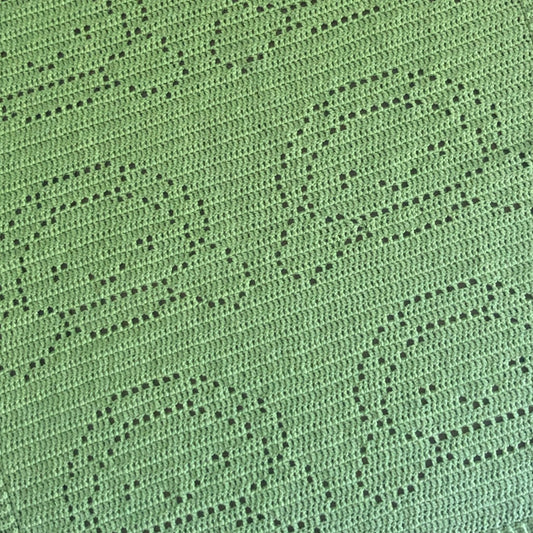Turtle Blanket Crochet Pattern - Time to Love Crochet